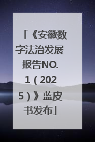 《安徽数字法治发展报告NO.1（2025）》蓝皮书发布