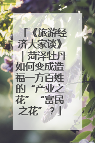 《旅游经济大家谈》｜菏泽牡丹如何变成造福一方百姓的“产业之花”“富民之花”？