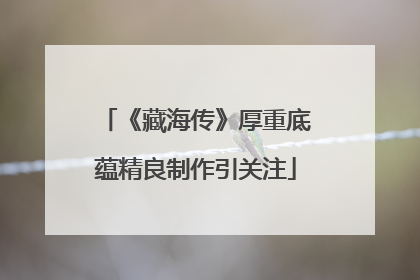 《藏海传》厚重底蕴精良制作引关注