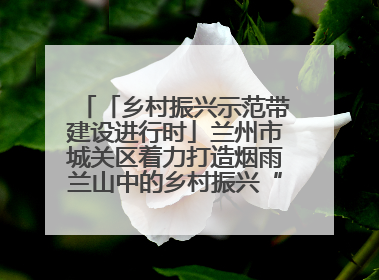 「乡村振兴示范带建设进行时」兰州市城关区着力打造烟雨兰山中的乡村振兴“样板间”