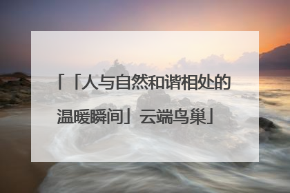 「人与自然和谐相处的温暖瞬间」云端鸟巢