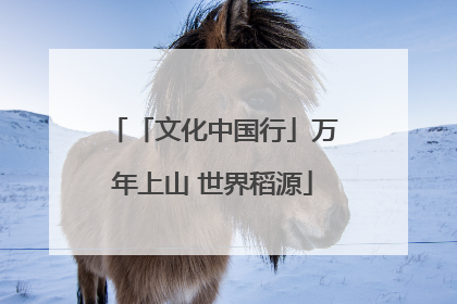 「文化中国行」万年上山 世界稻源