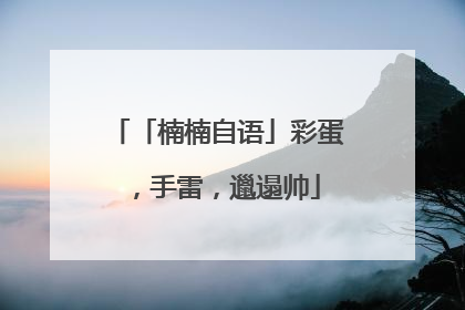 「楠楠自语」彩蛋，手雷，邋遢帅
