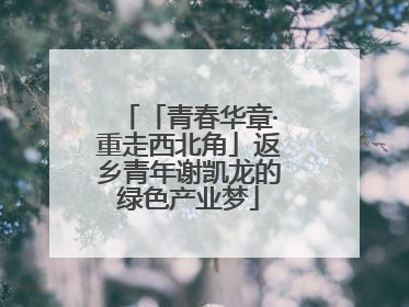 「青春华章·重走西北角」返乡青年谢凯龙的绿色产业梦