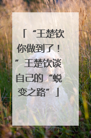 “王楚钦你做到了！”王楚钦谈自己的“蜕变之路”