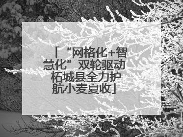“网格化+智慧化”双轮驱动 柘城县全力护航小麦夏收