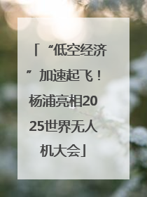 “低空经济”加速起飞！杨浦亮相2025世界无人机大会