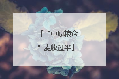 “中原粮仓”麦收过半