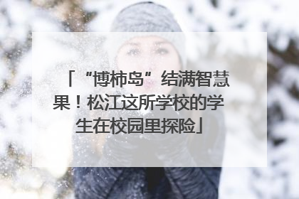 “博柿岛”结满智慧果！松江这所学校的学生在校园里探险