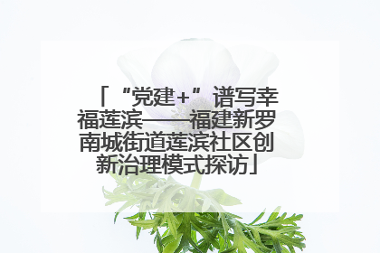 “党建+”谱写幸福莲滨——福建新罗南城街道莲滨社区创新治理模式探访