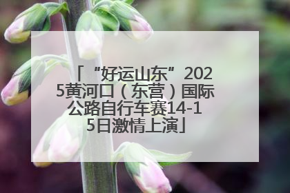 “好运山东”2025黄河口（东营）国际公路自行车赛14-15日激情上演
