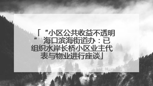 “小区公共收益不透明” 海口滨海街道办：已组织水岸长桥小区业主代表与物业进行座谈