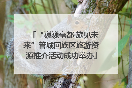 “巍巍亳都·旅见未来”管城回族区旅游资源推介活动成功举办