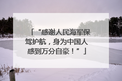 “感谢人民海军保驾护航，身为中国人感到万分自豪！”