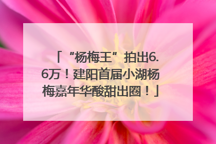 “杨梅王”拍出6.6万！建阳首届小湖杨梅嘉年华酸甜出圈！