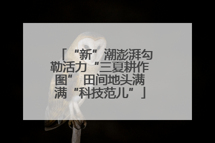 “新”潮澎湃勾勒活力“三夏耕作图” 田间地头满满“科技范儿”