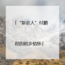 “新农人”付鹏程的稻乡情怀