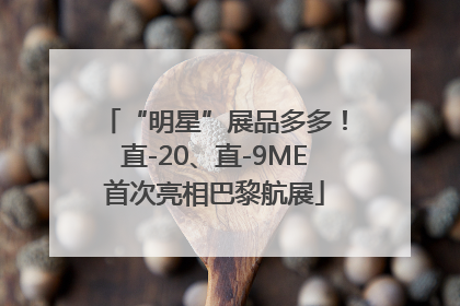 “明星”展品多多！直-20、直-9ME首次亮相巴黎航展
