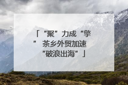 “聚”力成“擎” 茶乡外贸加速“破浪出海”