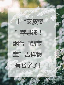“艾皮奥”苹果熊！烟台“熊宝宝”吉祥物有名字了