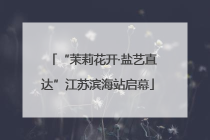 “茉莉花开·盐艺直达”江苏滨海站启幕