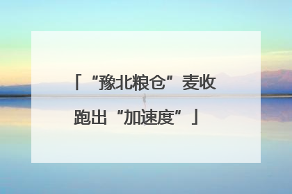 “豫北粮仓”麦收跑出“加速度”