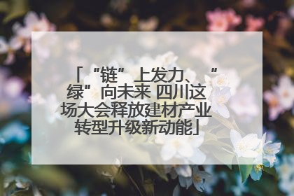 “链”上发力、“绿”向未来 四川这场大会释放建材产业转型升级新动能