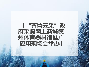 “齐鲁云采”政府采购网上商城德州体育器材馆推广应用现场会举办
