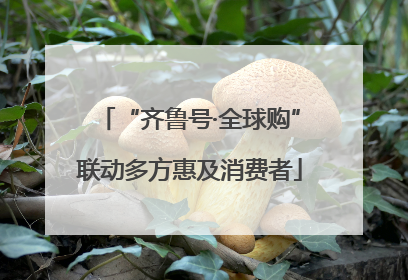 “齐鲁号·全球购”联动多方惠及消费者