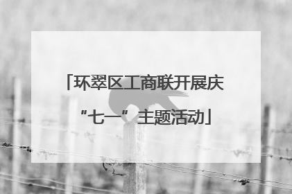 环翠区工商联开展庆“七一”主题活动