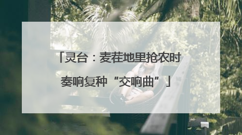 灵台：麦茬地里抢农时 奏响复种“交响曲”