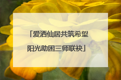 爱洒仙居共筑希望 阳光助困三师联袂