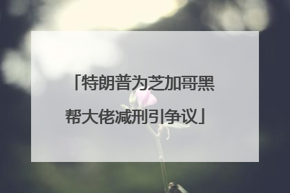 特朗普为芝加哥黑帮大佬减刑引争议