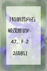 特朗普向石破茂推销F-47、F-22战机