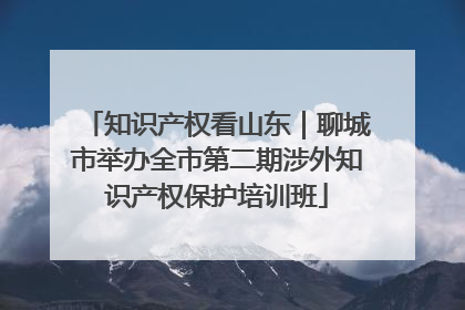 知识产权看山东｜聊城市举办全市第二期涉外知识产权保护培训班