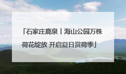 石家庄鹿泉丨海山公园万株荷花绽放 开启夏日赏荷季