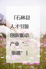 石林县人才引领创新驱动产业“三级跳”