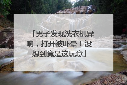 男子发现洗衣机异响，打开被吓晕！没想到竟是这玩意