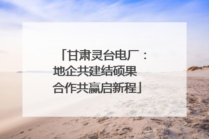 甘肃灵台电厂：地企共建结硕果 合作共赢启新程