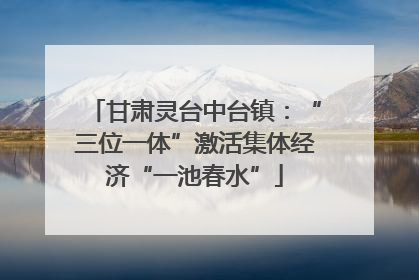 甘肃灵台中台镇：“三位一体”激活集体经济“一池春水”