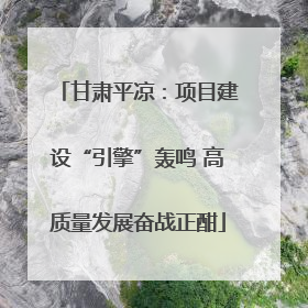 甘肃平凉：项目建设“引擎”轰鸣 高质量发展奋战正酣