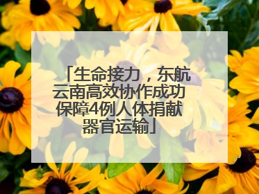 生命接力，东航云南高效协作成功保障4例人体捐献器官运输