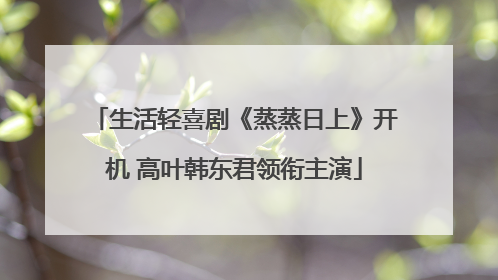 生活轻喜剧《蒸蒸日上》开机 高叶韩东君领衔主演