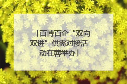 百博百企“双向双进”供需对接活动在蓉举办