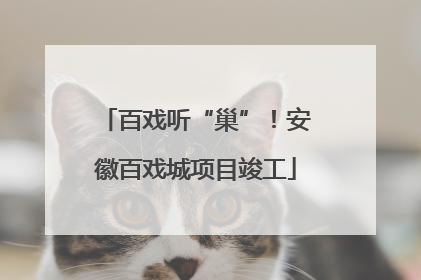 百戏听“巢”！安徽百戏城项目竣工