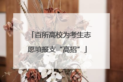 百所高校为考生志愿填报支“高招”