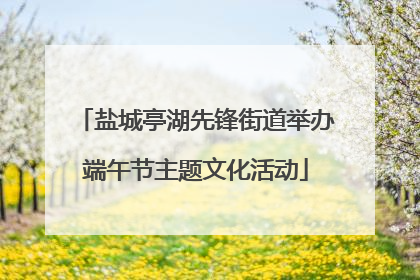 盐城亭湖先锋街道举办端午节主题文化活动