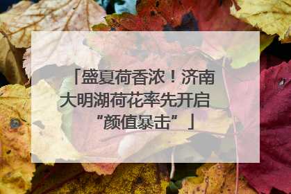盛夏荷香浓！济南大明湖荷花率先开启“颜值暴击”
