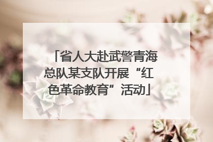 省人大赴武警青海总队某支队开展“红色革命教育”活动