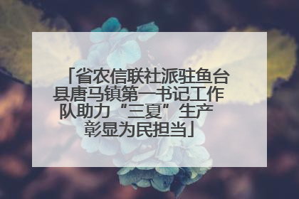 省农信联社派驻鱼台县唐马镇第一书记工作队助力“三夏”生产 彰显为民担当